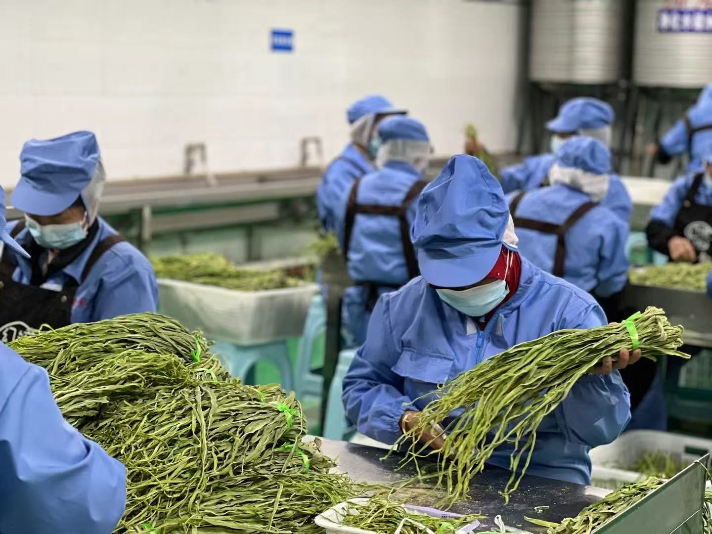 万肴来自山林，乡野，田园 佳品送给自己，亲人，好友