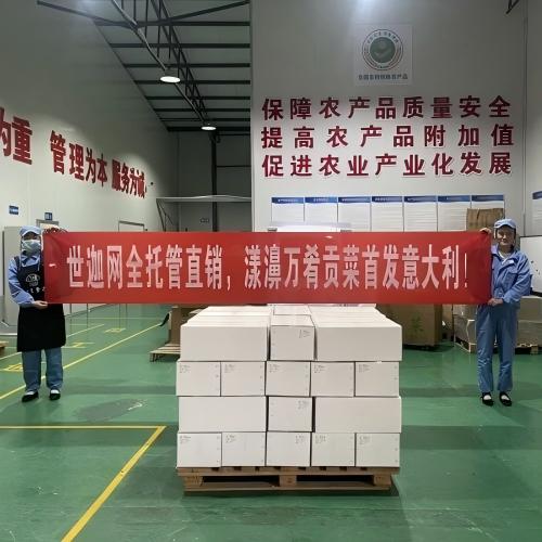 漾濞贡菜欧洲环游记！