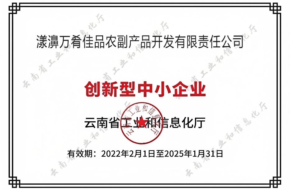 创新型中小企业