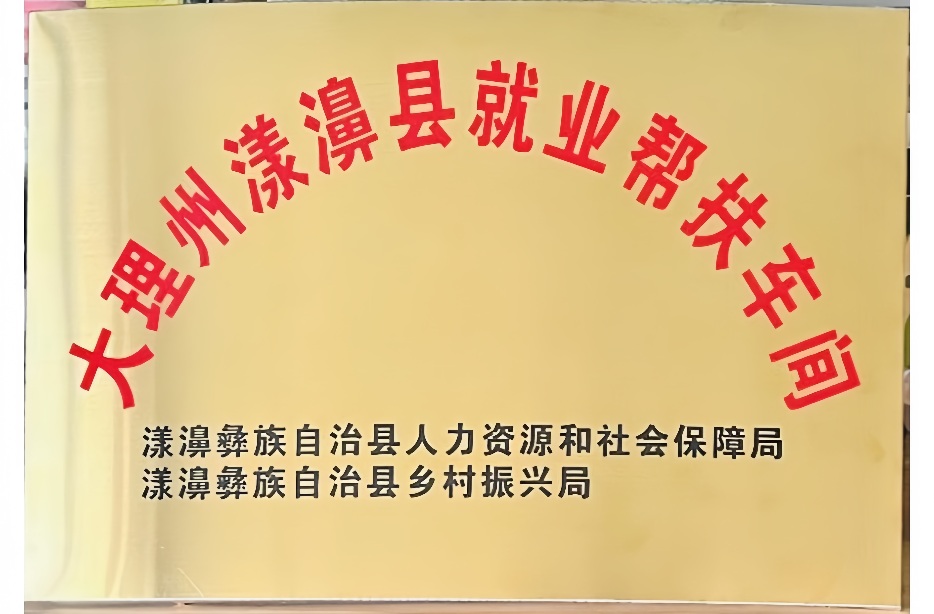 大理州漾濞县就业帮扶车间